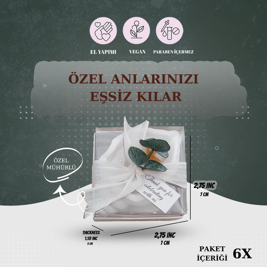 Deniz Kabuğu Mum Hediyelik Söz,Düğün, Nişan, Kına, Doğum Günü (6 Adet)
